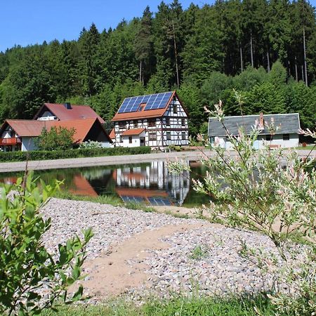 Ferienwohnung Nuessleshof Fambach Exterior foto